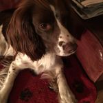 Alison Murdoch - @alisonmurdochkeyes - Instagram