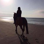 Alison Murdoch - @ali.murdoch61 - Instagram