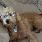 Allison Murdoch - @am_books1 - Instagram