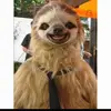 Allison Murdoch - @atm8799 - TikTok