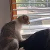 Allison Murfin - @allisonmurfin - TikTok