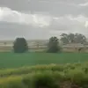 allisonnamuse - @allisonnamuse - TikTok