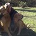Allison Muth - Facebook