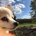 Allison Napier-Southard - @allisonnapiersouthard - Instagram