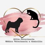 Dra Allison Barrios Navarrete 👩🏻‍⚕️ - @allis.veterinaria - Instagram