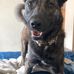 Allison Neeley - Facebook