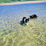 Allison Conneely - @allisonconneely - Instagram