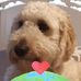 Alison Neil - Facebook