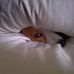 Allison Neil - Facebook