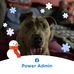 Allison Neil - Facebook