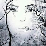 Alison Nesbitt - @nesbittalison - Instagram