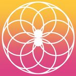 Allison Dagney - Emotional Abuse Recovery Mentor - @allisonkdagney - Instagram