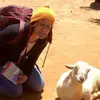 Allison Orr Brinkerhoff - @allisonorrbrinker - TikTok
