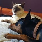 Alison Osgood - @aluson05 - Instagram