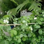 Allison Austin Martinson - @allison.osgood.7 - Instagram