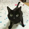 Allison.Patel - @allisonpatelkdrfvez - TikTok