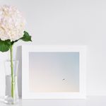 Allison Pedigo - @allisonpedigoprintshop - Instagram