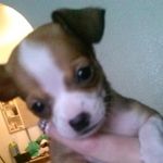 Allison Pennington - @allison.pennington.351 - Instagram