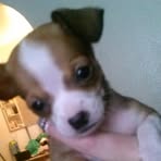 Allison Pennington - Facebook