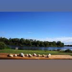 Allison Boaz Pierson - @signaturewellness_lpc - Instagram