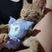 Allison Pinto - Facebook