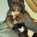 @allisonplante748283 - Instagram