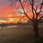 Allison Plummer - @allisonplummer386 - Instagram
