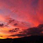 Alison Plunkett - @plunkett_alison - Instagram