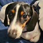 Allison Plunkett - Facebook