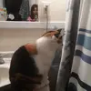 Allison - @allison.poland - TikTok