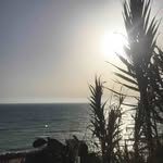 𝐴𝑙𝑖𝑠𝑜𝑛.𝑃𝑜𝑙𝑖𝑧𝑧𝑖🌸 - @alison.polizzi9 - Instagram
