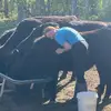 allisonpolston625 - @allisonpolston625 - TikTok