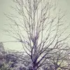 AllisonPolston8770 - @allisonpolston8770 - TikTok