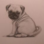 Alison Pomeroy - @ali_pomeroy_illustration - Instagram