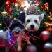 Alyson Mary Ponting - Facebook