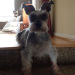 Allison Poole - @allison.poole.547 - Instagram