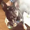 Allison Poole - @allison.poole14 - TikTok
