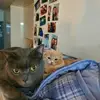 Allison Pope - @allison.pope67 - TikTok