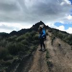 allison : post link year - @linkyearjournal - Instagram