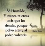 Aliszon Panzo - Facebook