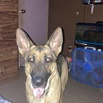 Hunter Rakes - @allison.pridemore59 - Instagram