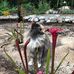 Alison Pridgen - Facebook