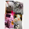 allisonprieto101 - @allisonprieto101 - TikTok