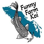 Allison Pringle - @funnyfarmcr - Instagram