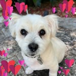 Allison Proehl - @alleeycatt - Instagram