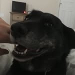 Allison Pugh - @pugh_allison - Instagram