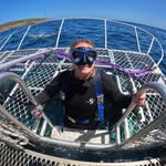 Allison Purvis - @ali82l - Instagram