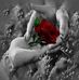 Allyson Purvis - Facebook