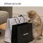 Allison Puyleart - @puyleartallison - Instagram