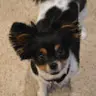 Allison Purtle - @allisonpurtle - TikTok